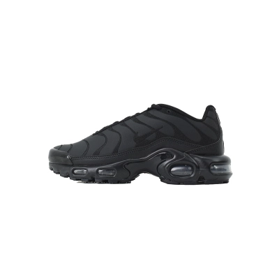  Nike Air Max Plus TN AJ2029-001 01