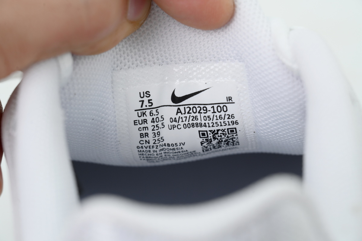  Nike Air Max Plus TN AJ2029-100