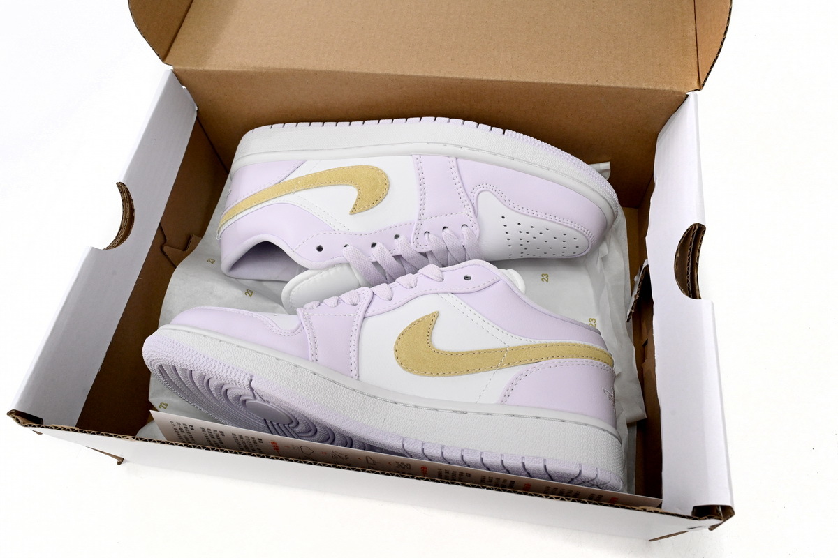 Air Jordan 1 Low PAICU DC0774-501