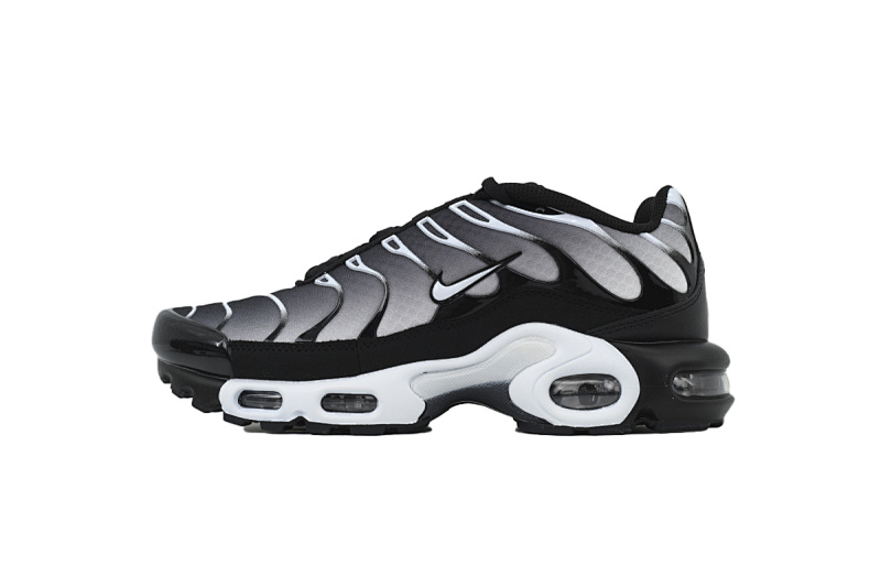Nike Air Max Plus Noir DM0032-003 
