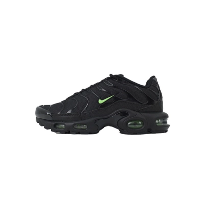  Nike Air Max Plus DM0032-024 01