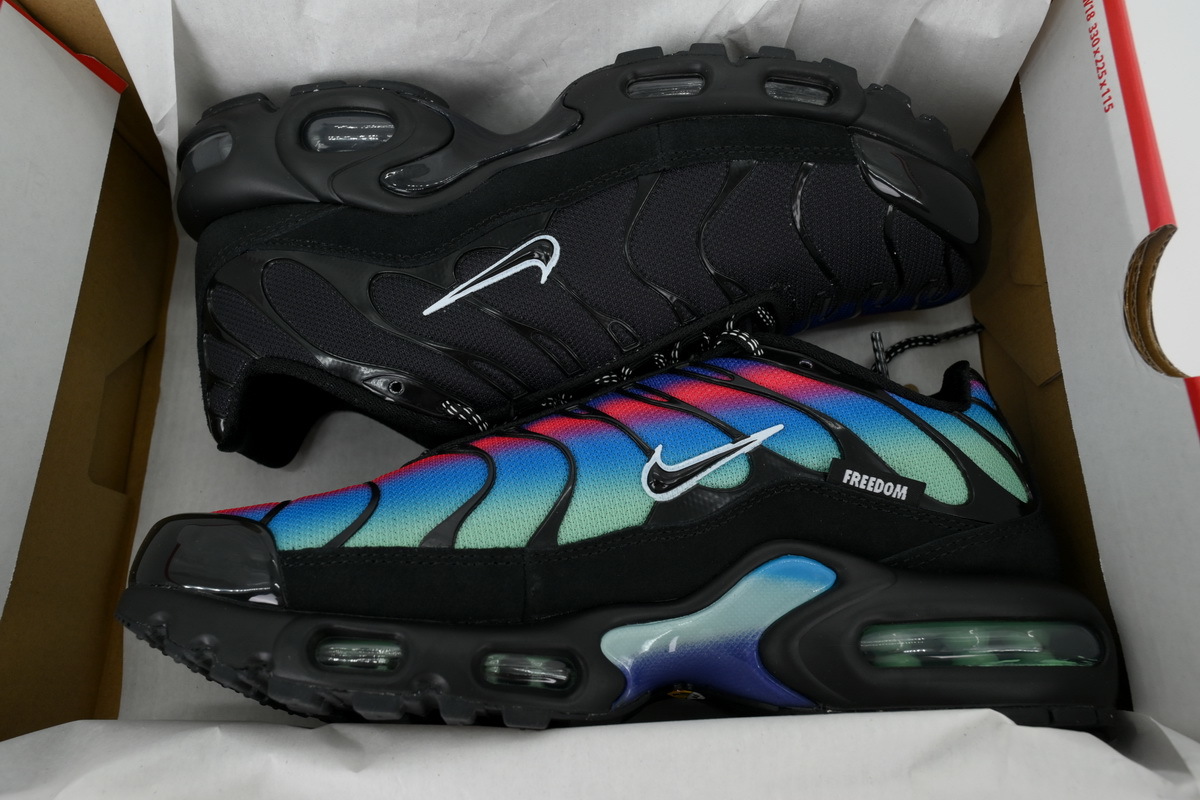 Nike Air Max Plus DZ4509-001 