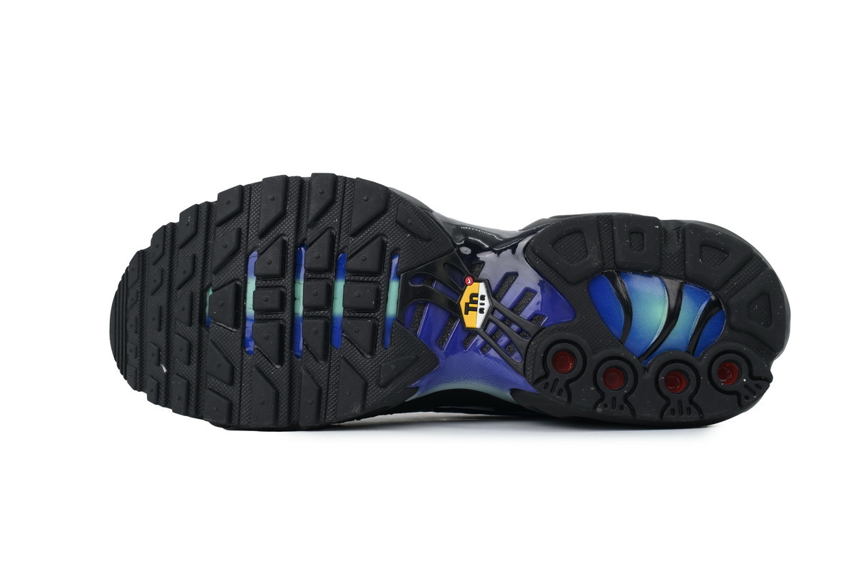 Nike Air Max Plus DZ4509-001 