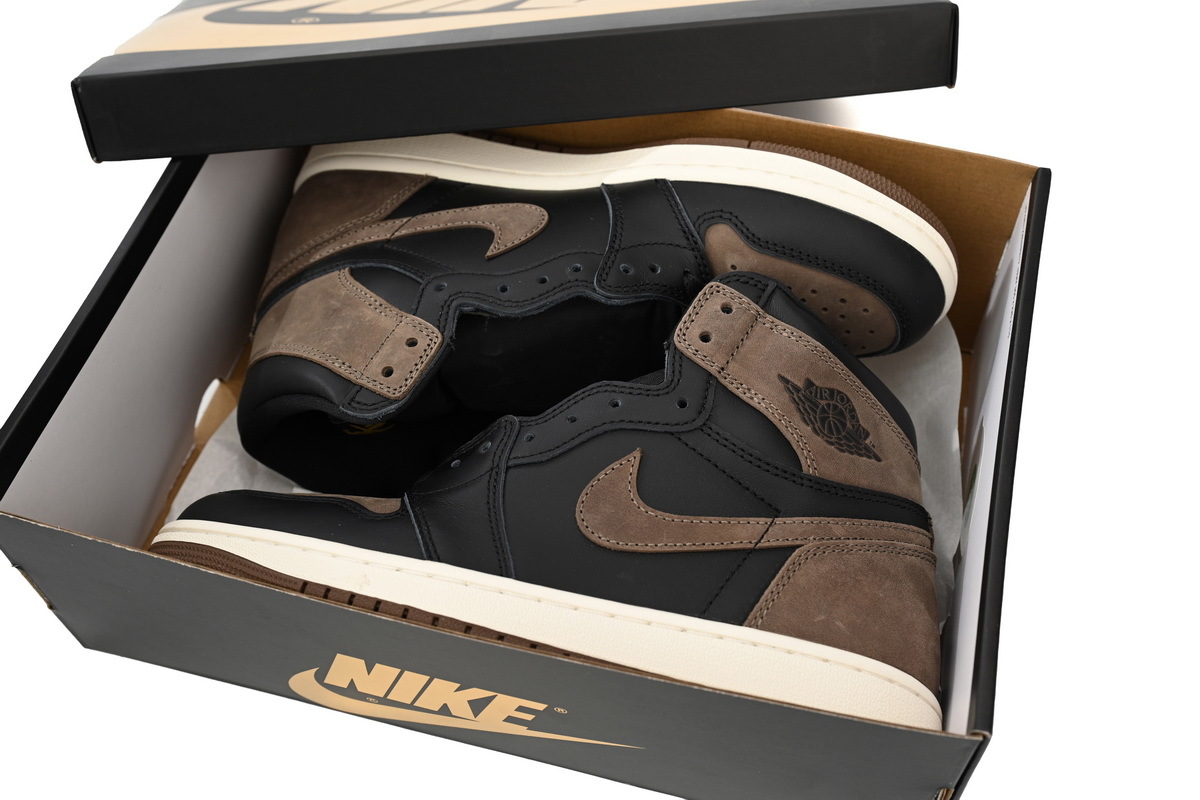 Air Jordan 1 High OG DZ5485-020