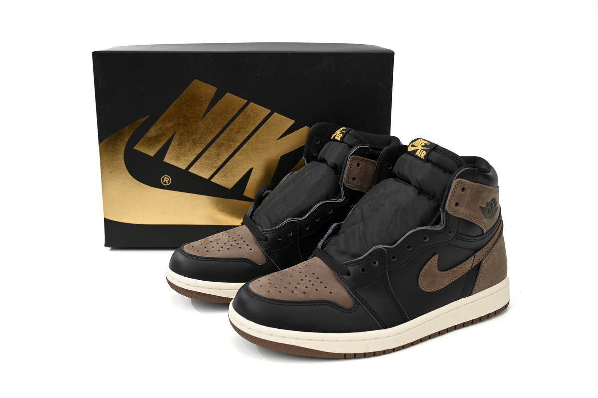 Air Jordan 1 High OG DZ5485-020