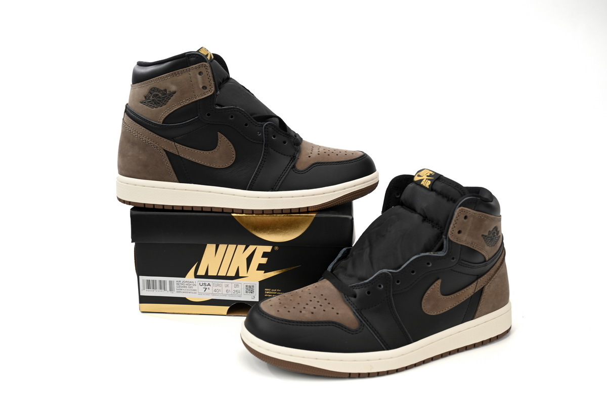 Air Jordan 1 High OG DZ5485-020