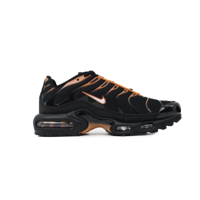 Nike Air Max Plus Noir FN6949-400 02
