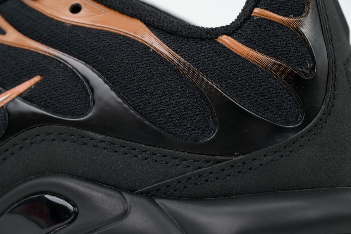 Nike Air Max Plus Noir FN6949-400