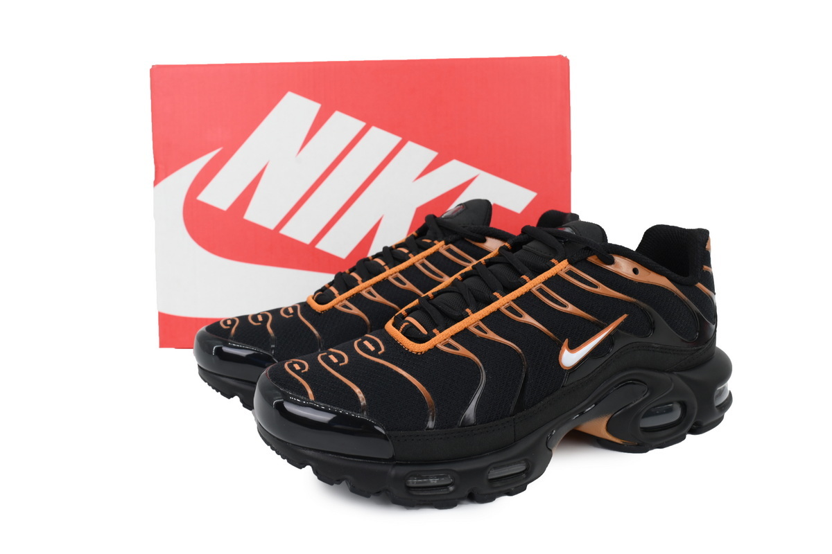 Nike Air Max Plus Noir FN6949-400
