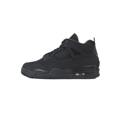 Air Jordan 4 Black Cat FV5029-010 01