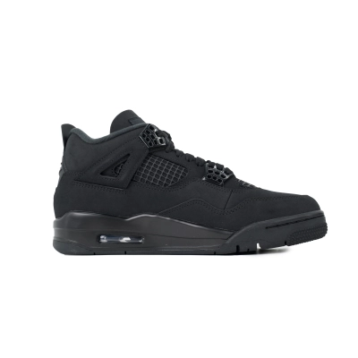 Air Jordan 4 Black Cat FV5029-010 02