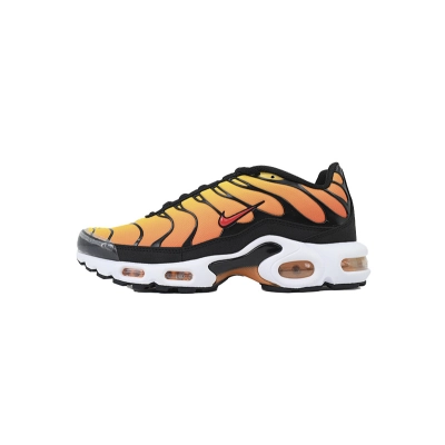 Nike Air Max Plus Noir HF0552-001 01
