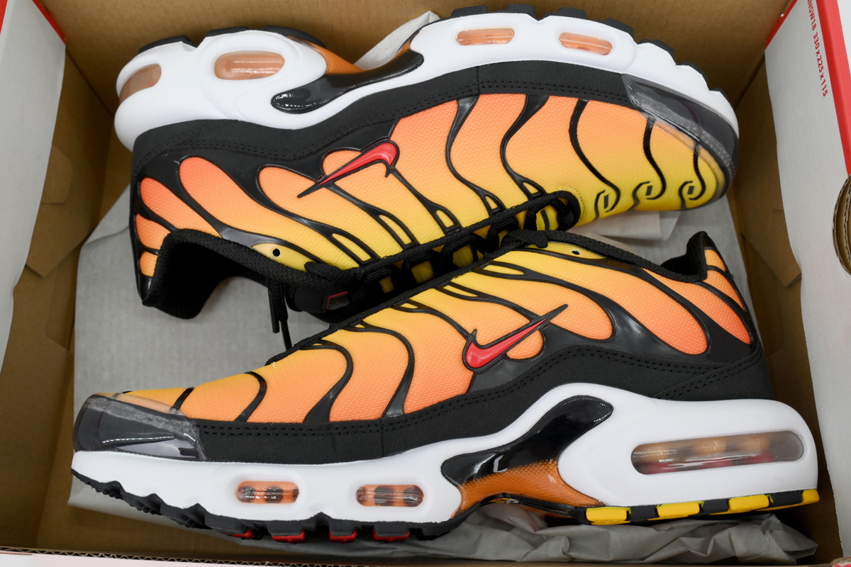 Nike Air Max Plus Noir HF0552-001