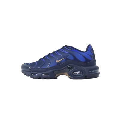  Nike Air Max Plus IQ0170-400 01