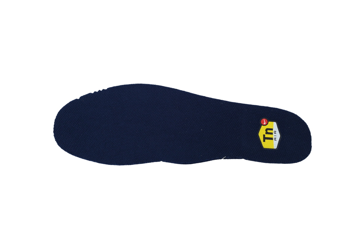 Nike Air Max Plus IQ0170-400