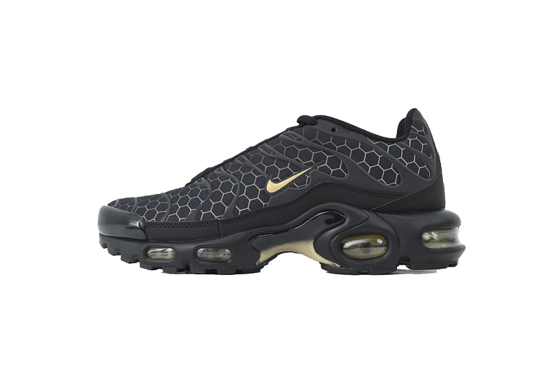 Nike Air Max Plus IQ0287-010 