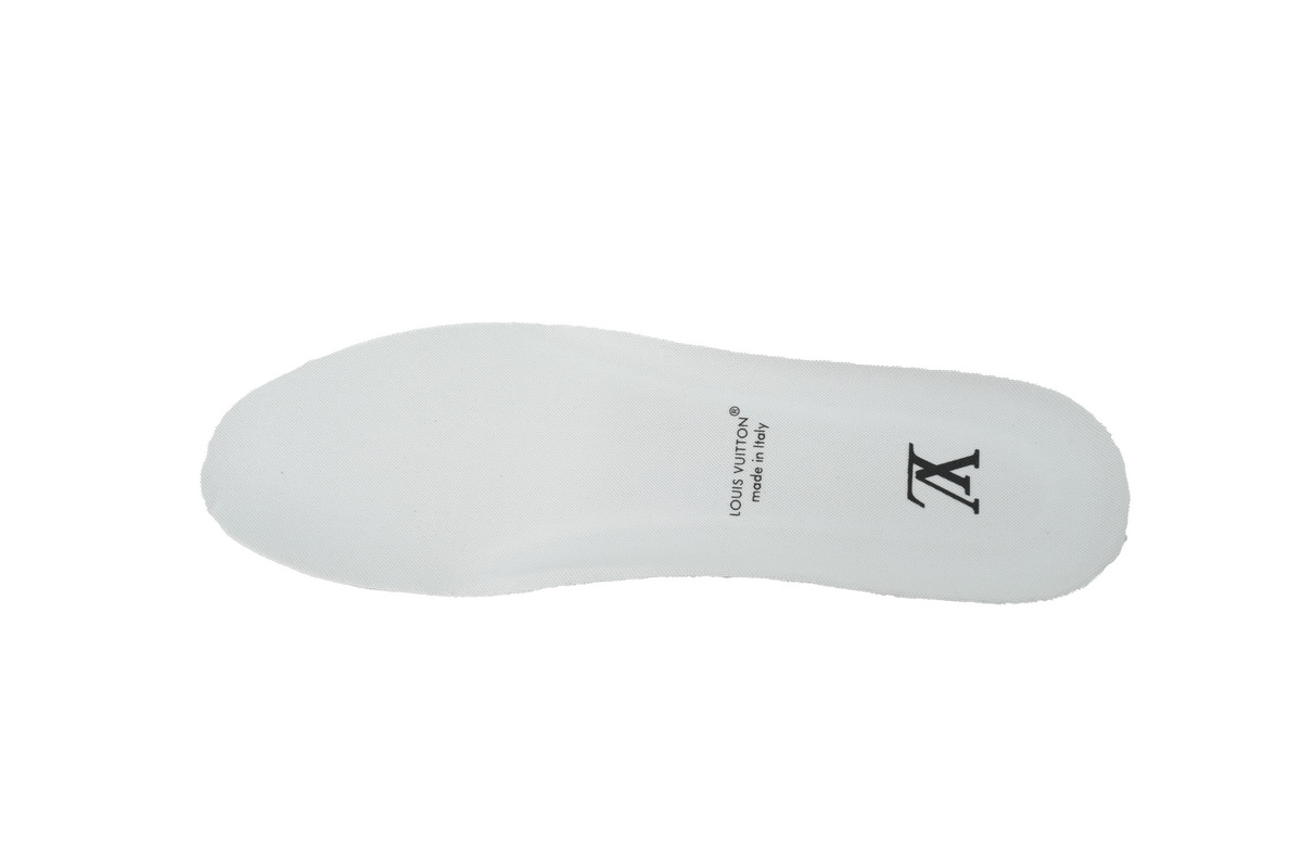 Louis Vuitton LV Trainer Brown White Monogram Sneakers