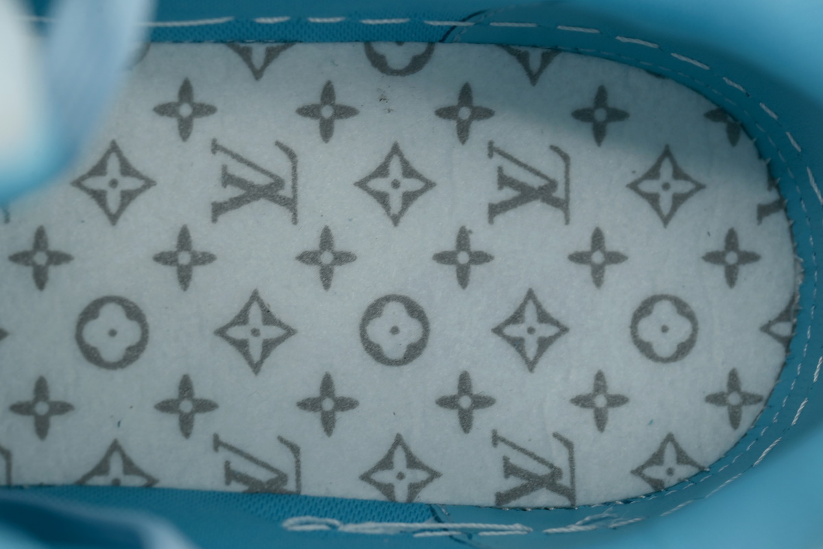 Louis Vuitton Tyler The Creator  Trainer Low