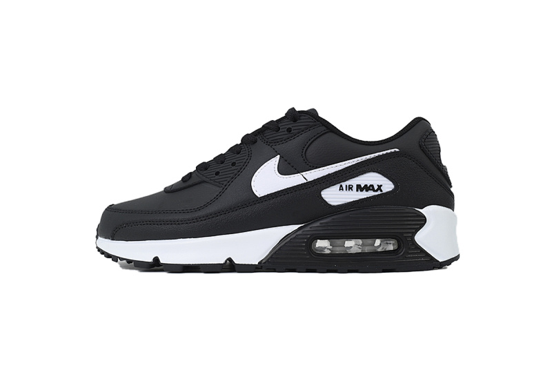  Air Max 90 Leather GS CD6864-029