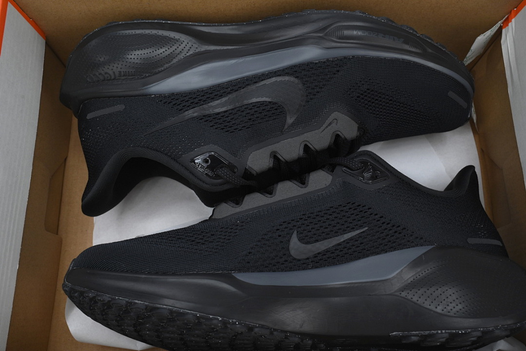 FD2723-001 Air Zoom Pegasus 41