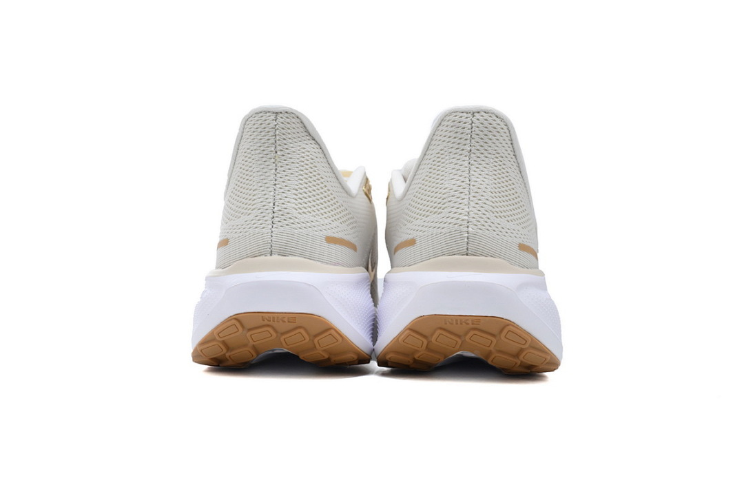 FD2723-005 Air Zoom Pegasus 41