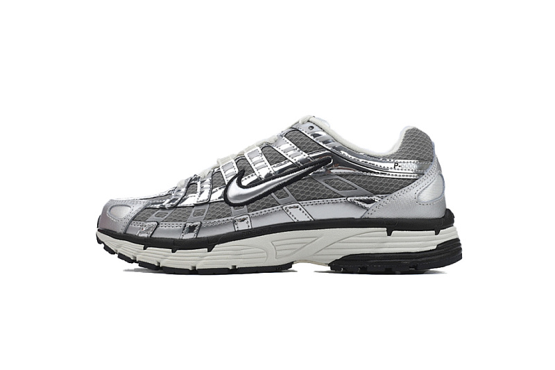 CN0149-001 Nike P-6000