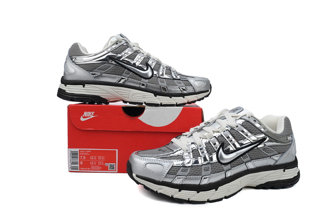 CN0149-001 Nike P-6000