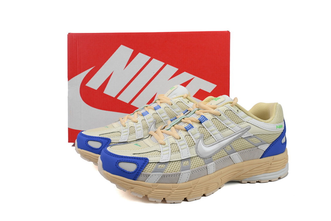FJ5443-113 Nike P-6000