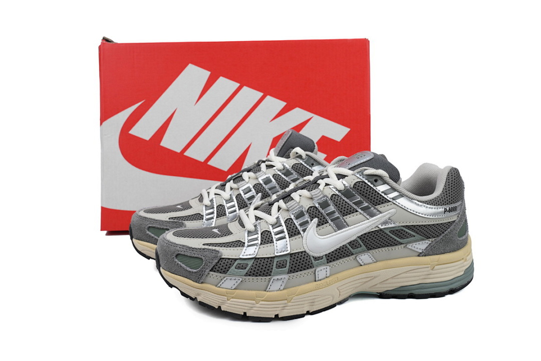 FN7509-029 Nike P-6000
