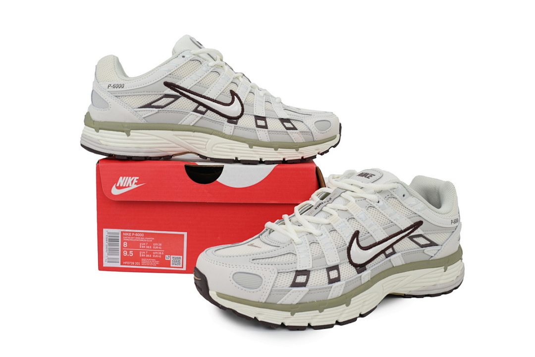 HF0728-201 Nike P-6000