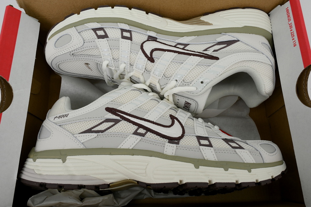HF0728-201 Nike P-6000