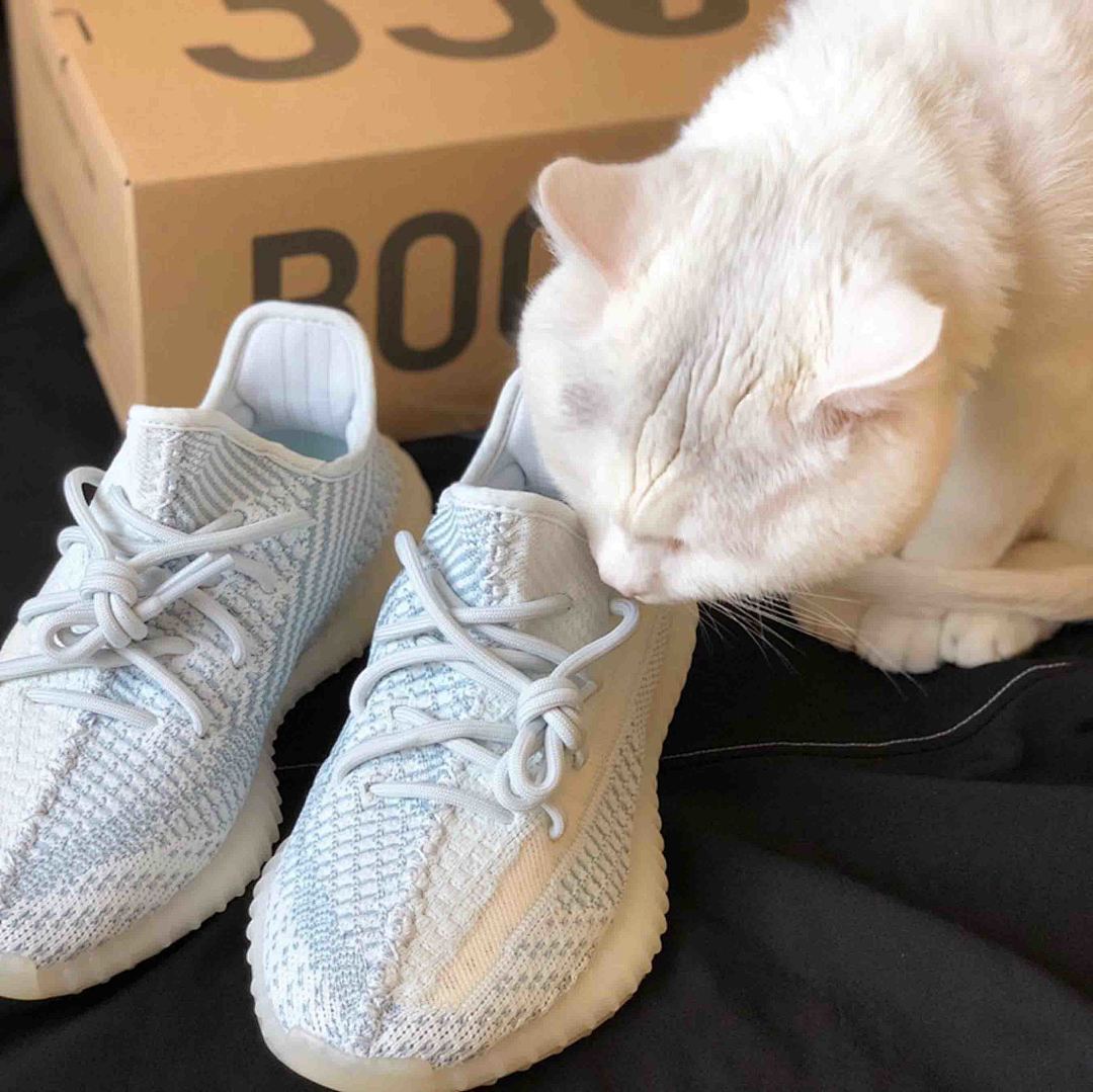Adidas Yeezy Boost 350 V2 Cloud White FW3043