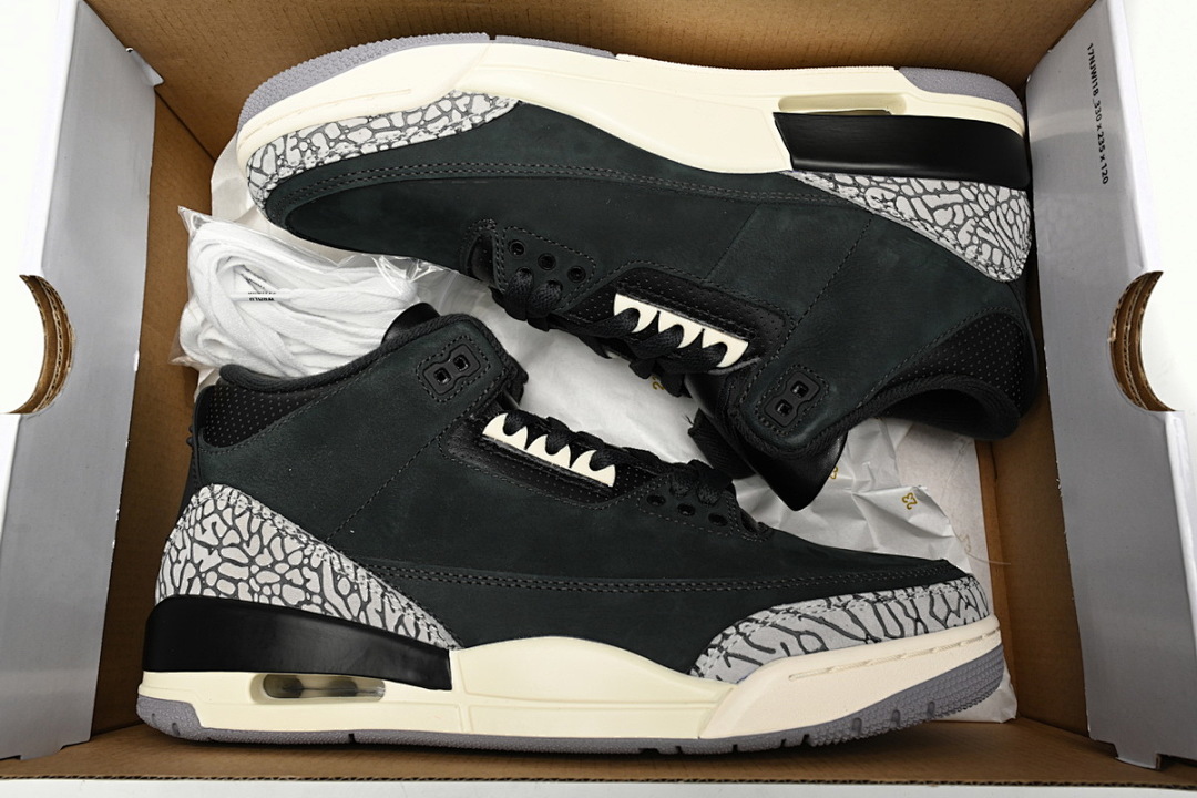  Air Jordan 3 CK9246-001