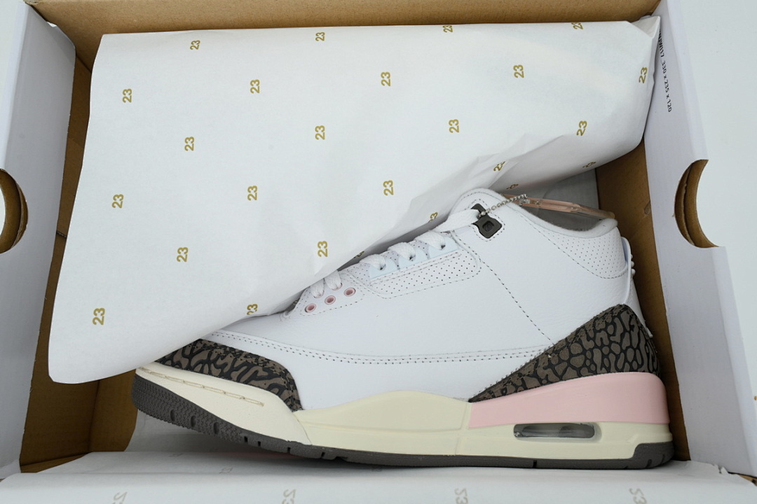 Air Jordan 3 Retro Cherry Blossom CK9246-102 