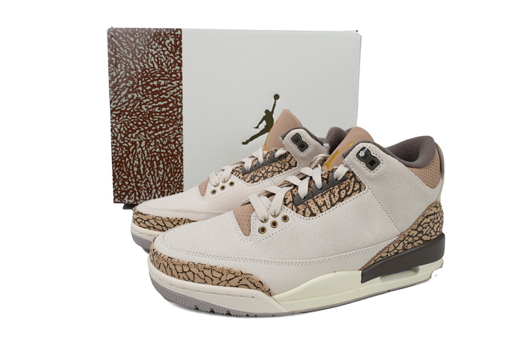  Air Jordan 3 Retro CT8532-102