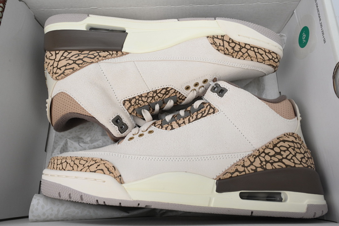  Air Jordan 3 Retro CT8532-102