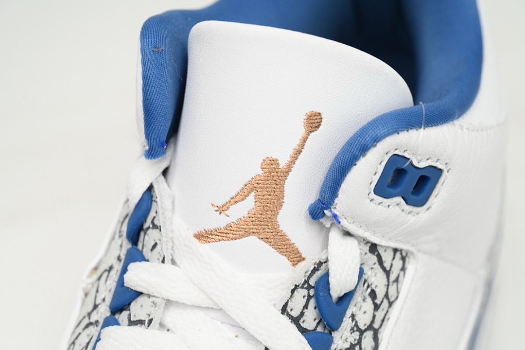  Air Jordan 3 Retro CT8532-148