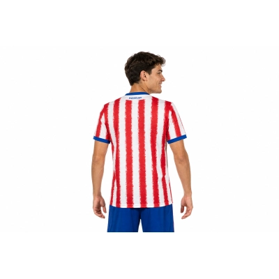 2026 Paraguay Home Jersey Men's Size 02