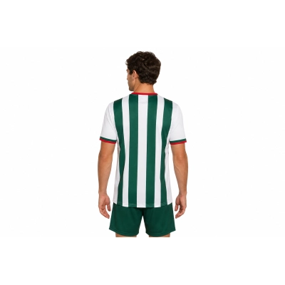 Player Edition 2026 Mexico Special Edition Jersey S-XXL 02