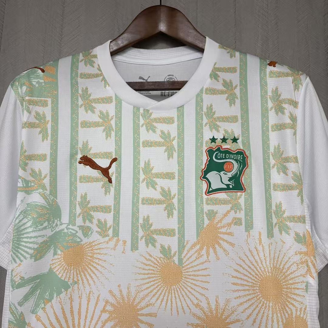 2026 World Cup Ivory Coast Jersey Mens Size