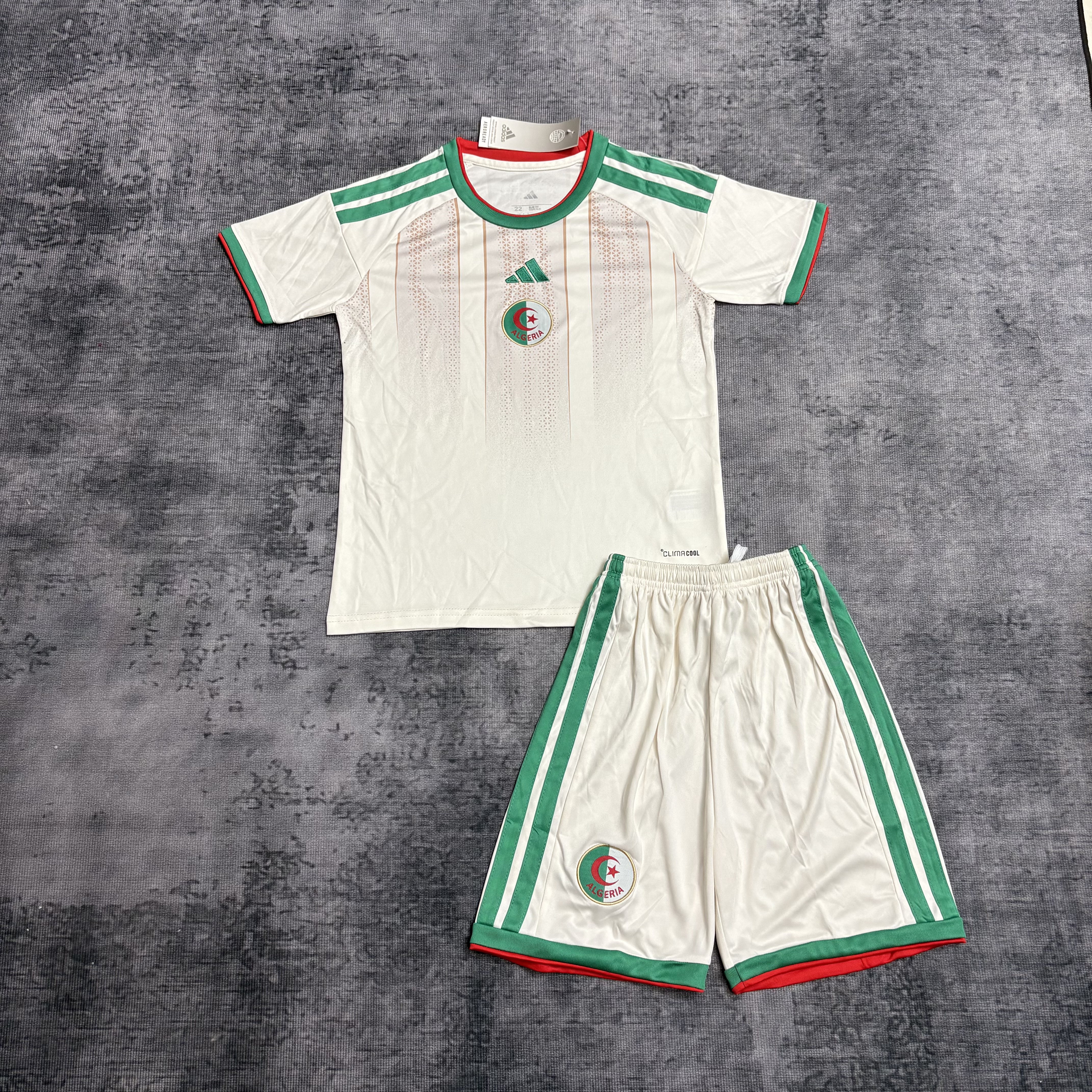 2026 World Cup Kids Algeria Home Jersey 
