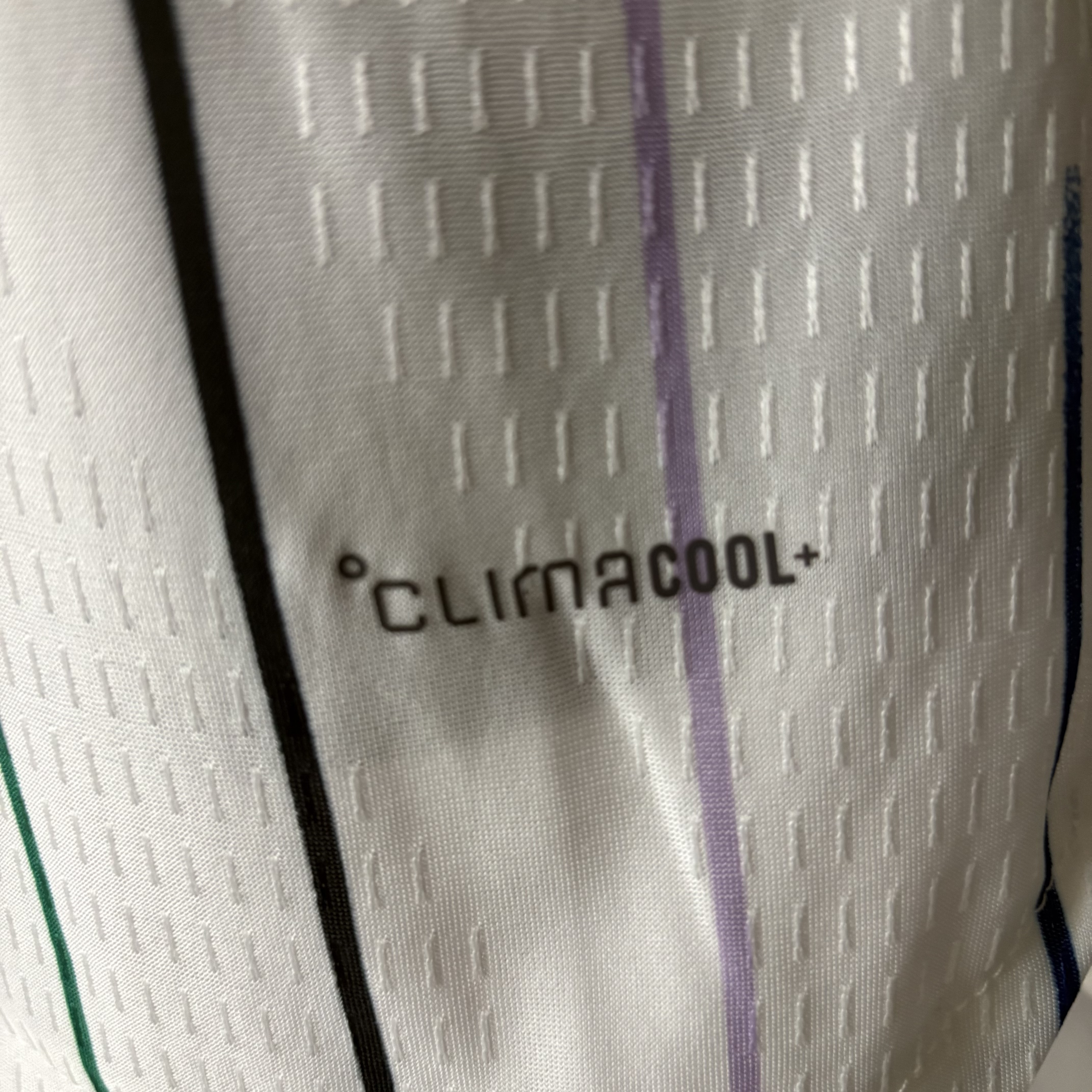 2026 World Cup Player Edition Japan Away Jersey 