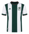2026 World Cup Player Edition Mexico Special Edition Jersey