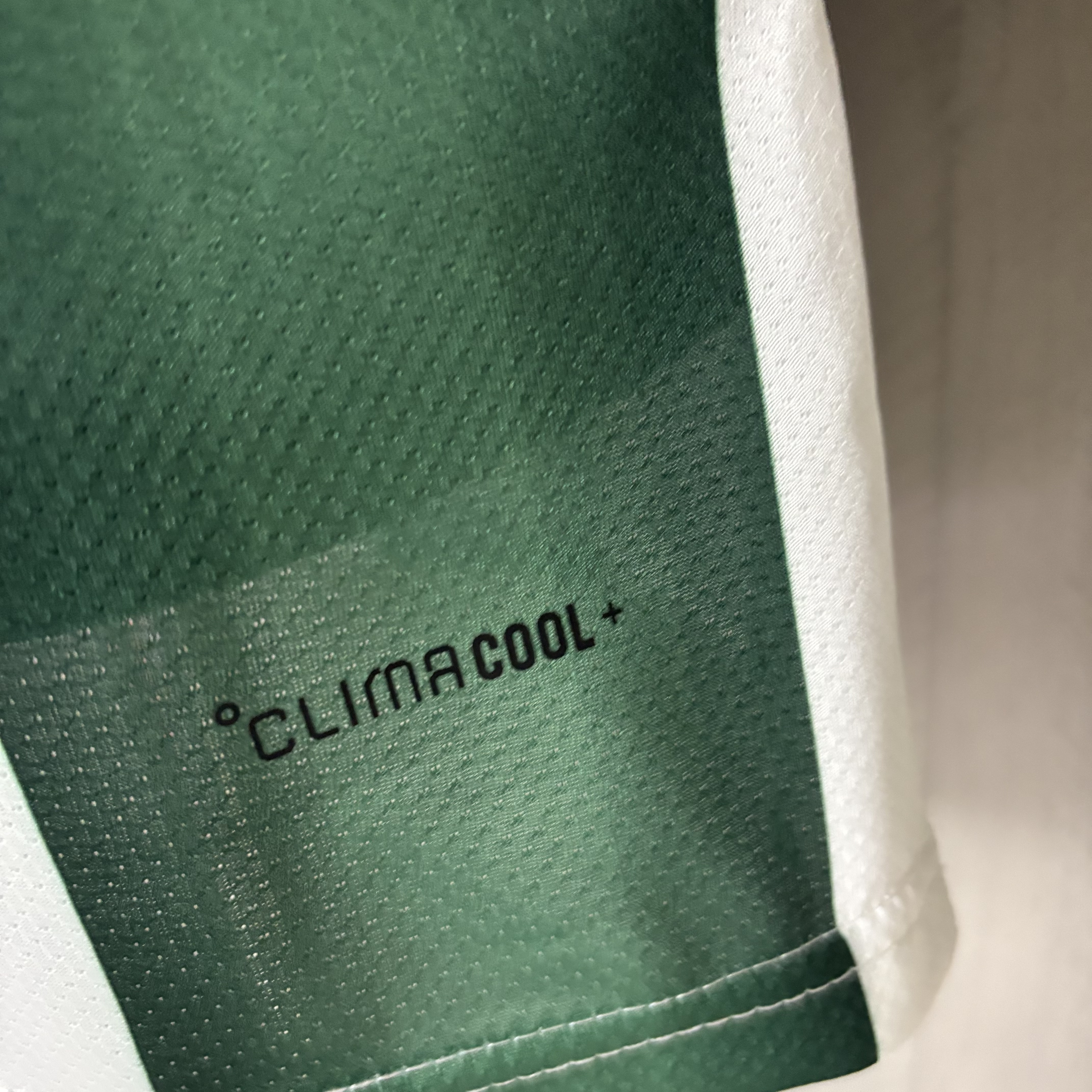 2026 World Cup Player Edition Mexico Special Edition Jersey