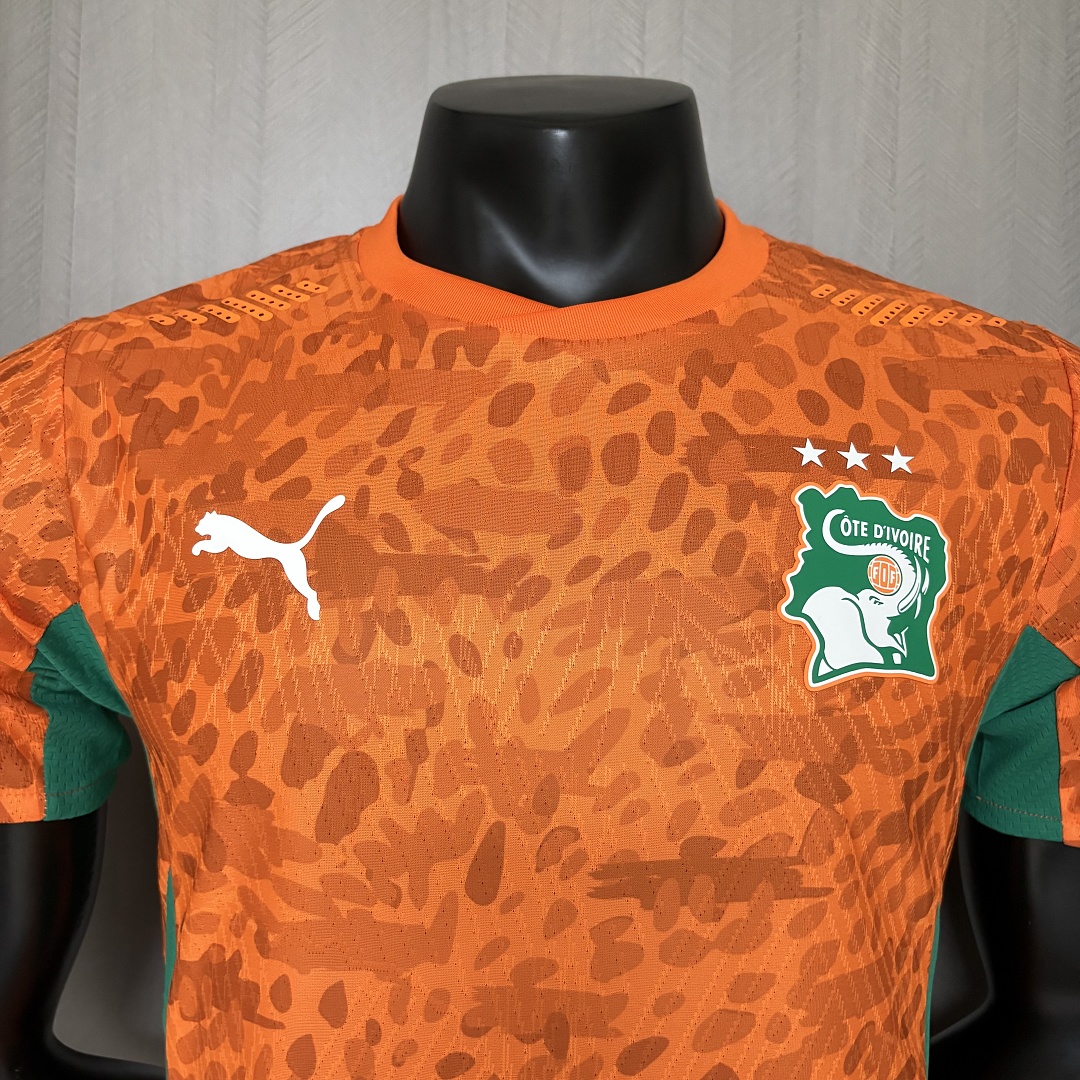 2026 World Cup Player Version Ivory Coast Jersey Mens Size