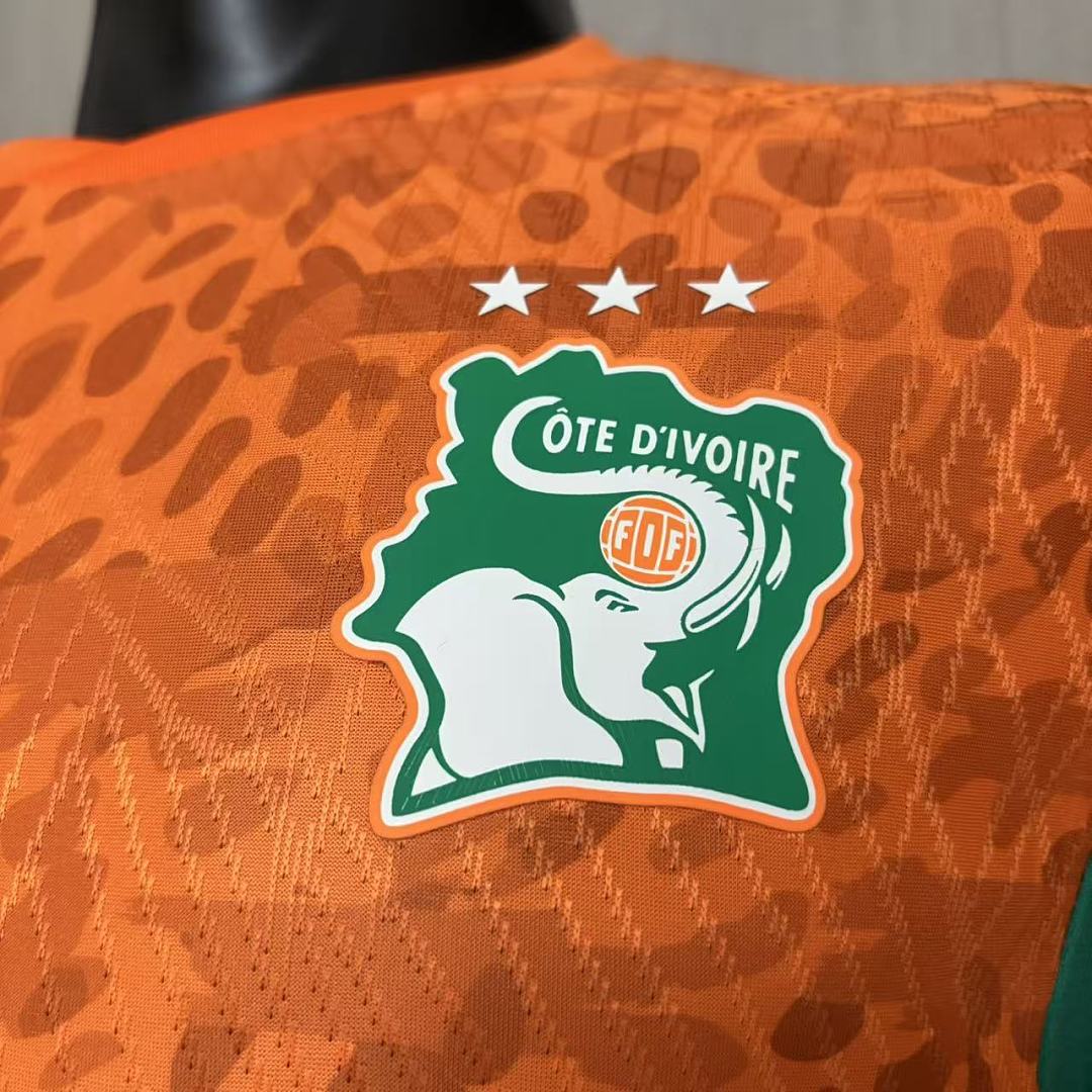 2026 World Cup Player Version Ivory Coast Jersey Mens Size