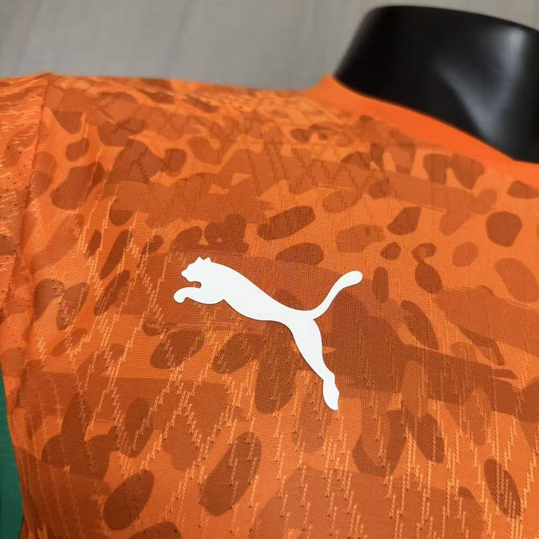 2026 World Cup Player Version Ivory Coast Jersey Mens Size