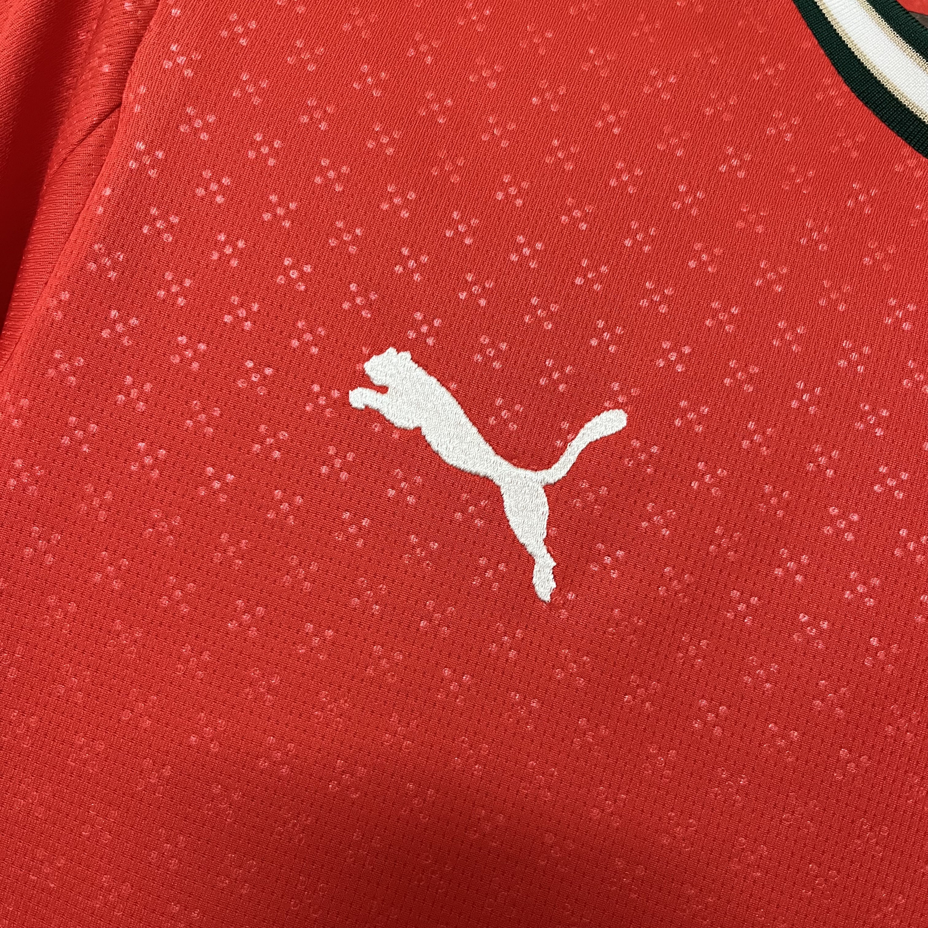 2026 World Cup Portugal home