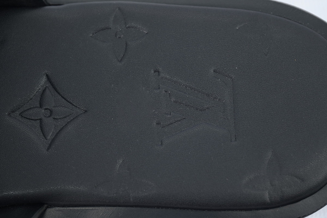 LOUIS VUITTON Oasis Black Leather Surface