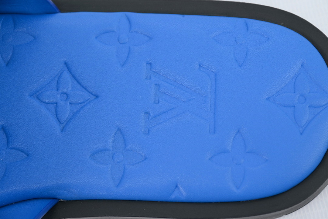 LOUIS VUITTON Oasis Blue Leather Surface